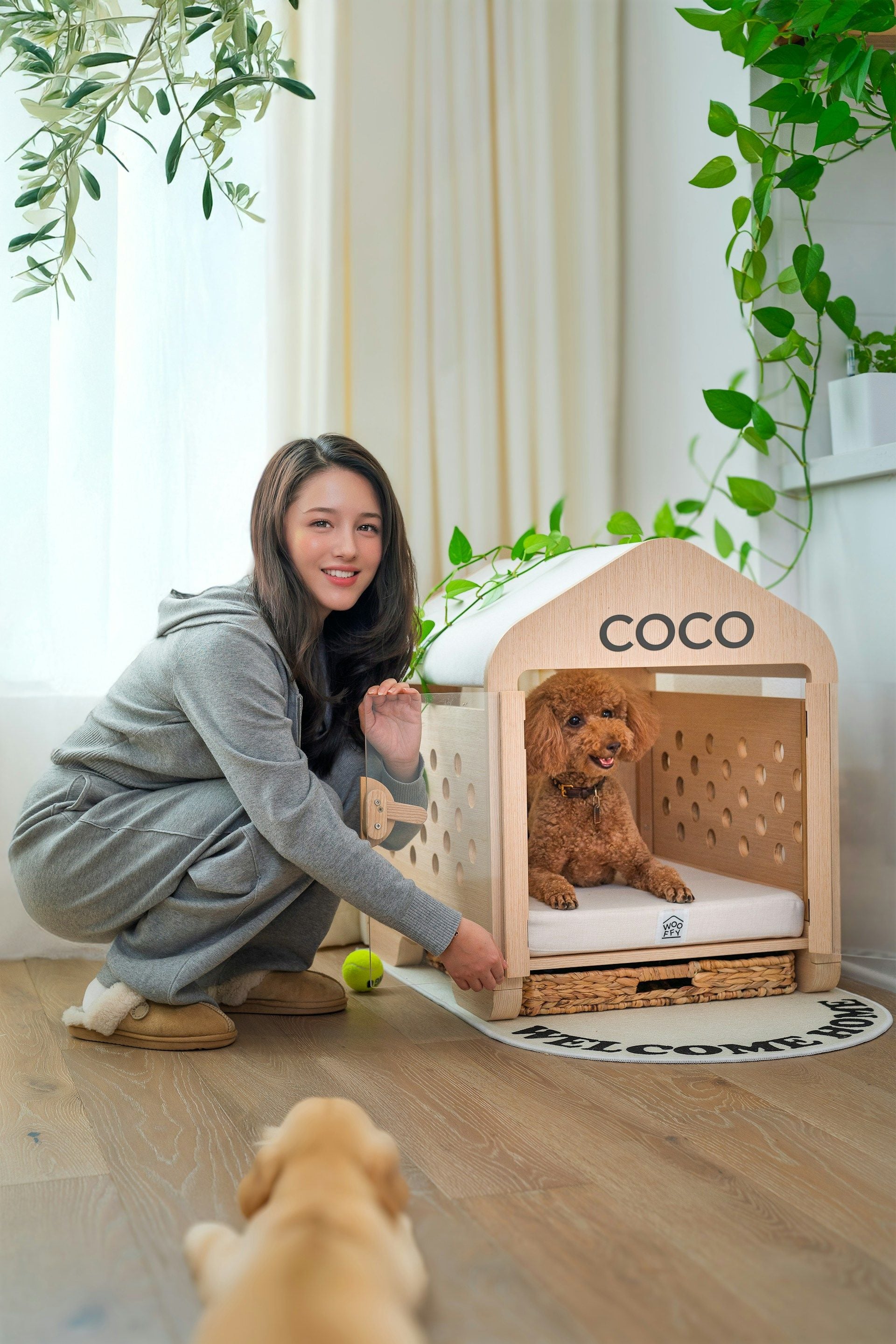 5-Star Luxury Dog Hotel - Premium Nutrition Image