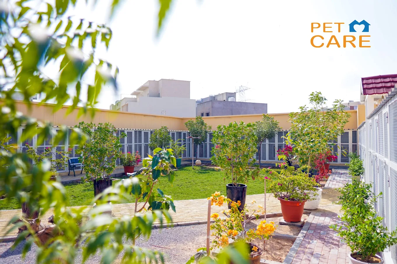 Luxury Dog Kennel suite